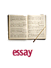 Essay