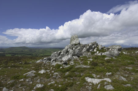 hazel_spell_rock3