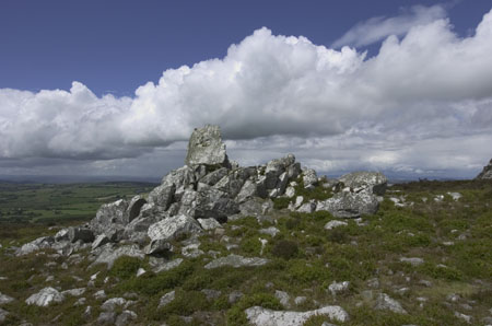 hazel_spell_rock4