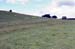 lordshill_chapel_hazel_run3